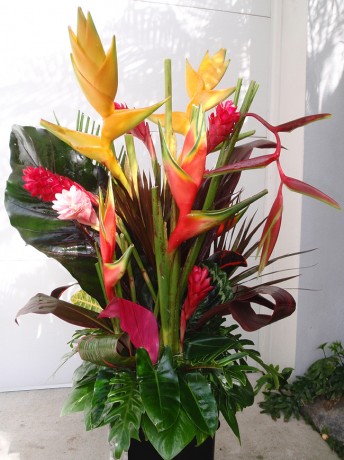 Tropical Flower Arrangement Brevard County Melbourne Florida Vero Beach Heliconia