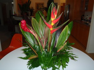 heliconia