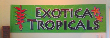 Exotica Tropicals Plant Nursery Brevard County Melbourne Florida