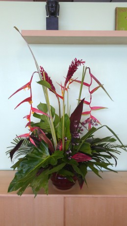 Tropical Flower Arrangement Florida Brevard Melbourne heliconia ginger bird of paradise