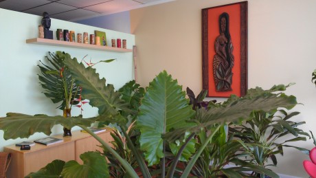tiki mugs tropical plants witco polynesian art