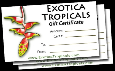 gift certificate plant nursery tropicals gift card discount sale coupon