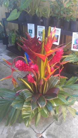 heliconia gingers tropical flowers arrangemnts wedding brevard space coast vero beach florida