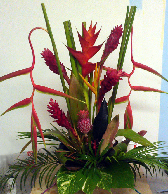 tropical flower arrangments jungle nursery heliconia sexy pink