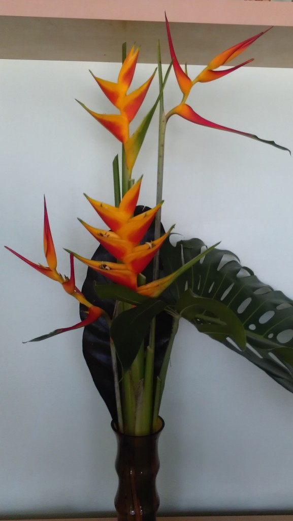 heliconia flower arrangement tropical nursery florida