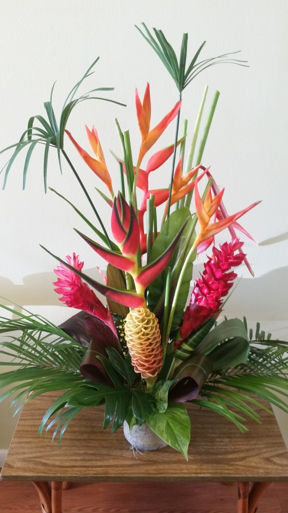 tropical flowers heliconia ginger florida nursery