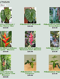 Tropical Plants List