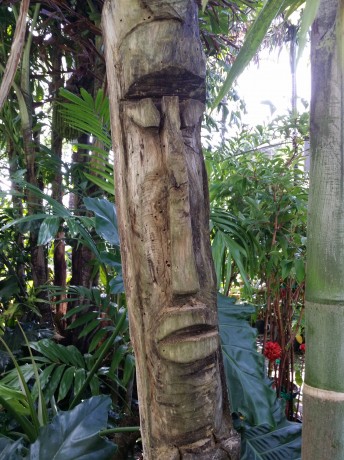 tiki carving florida tropical plant nursery buy online