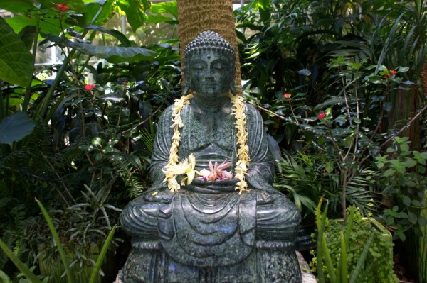 marie-selby-buddha