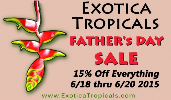 fathers-day-coupon